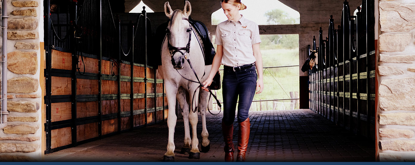 Equine Insurance from MVR Insurance Agency